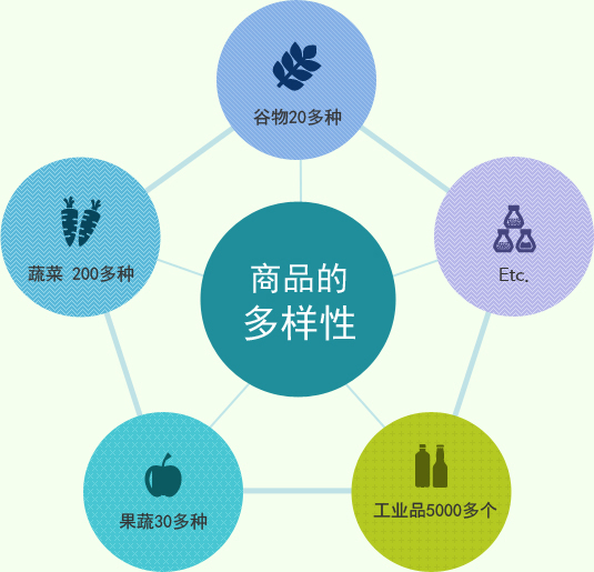 满足多样化需求的代刷服务